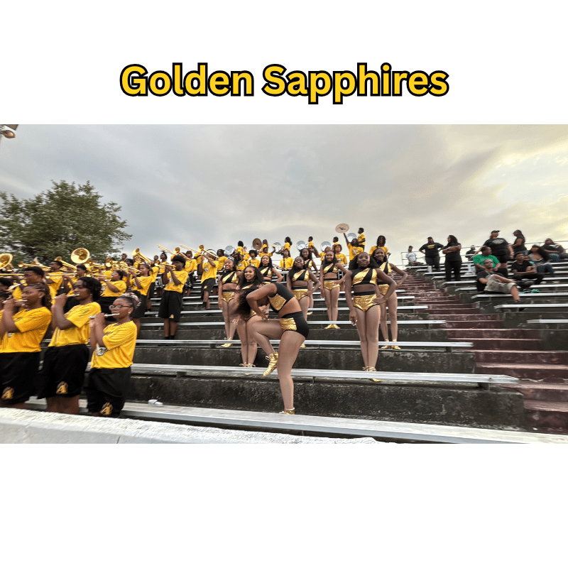 1788773443995 golden sapphires named